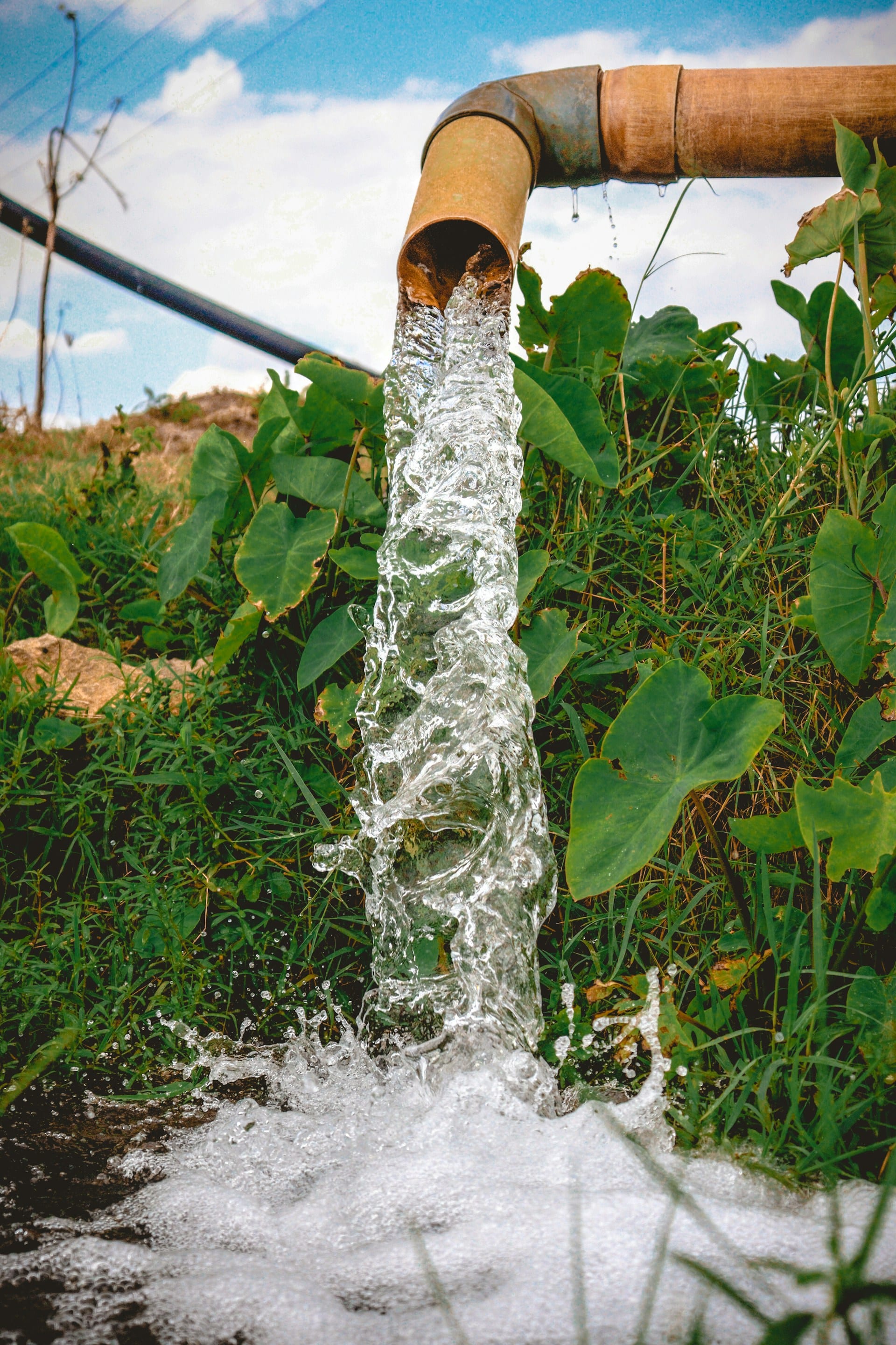 Triple-wash cycle