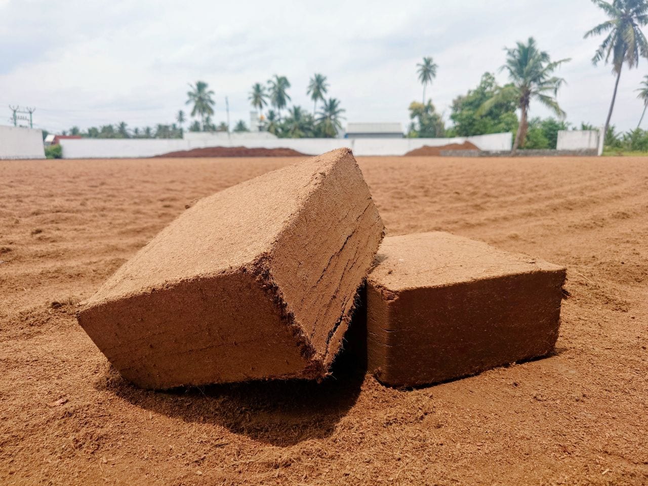 Coco Peat Blocks