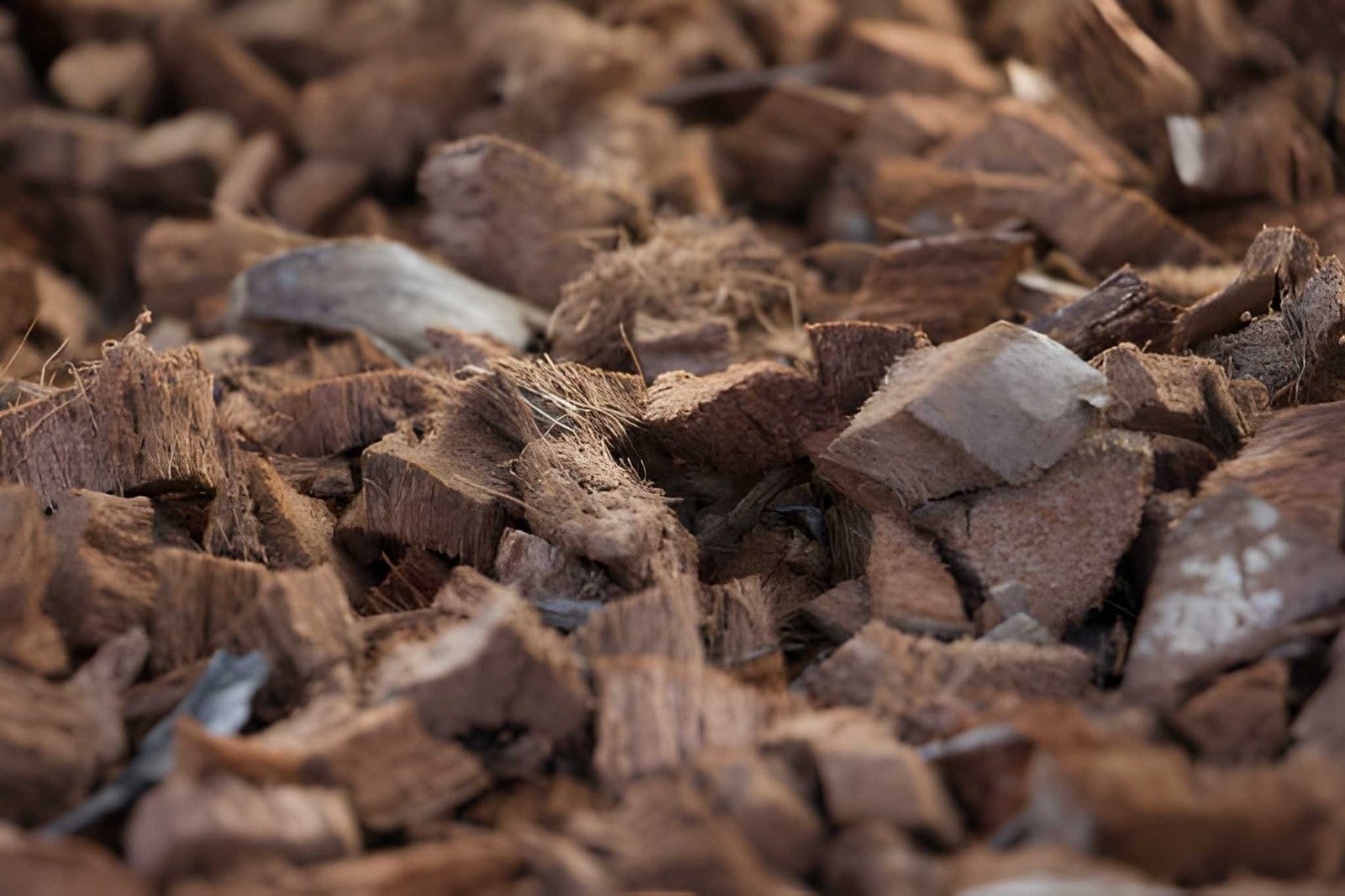 Husk Chips