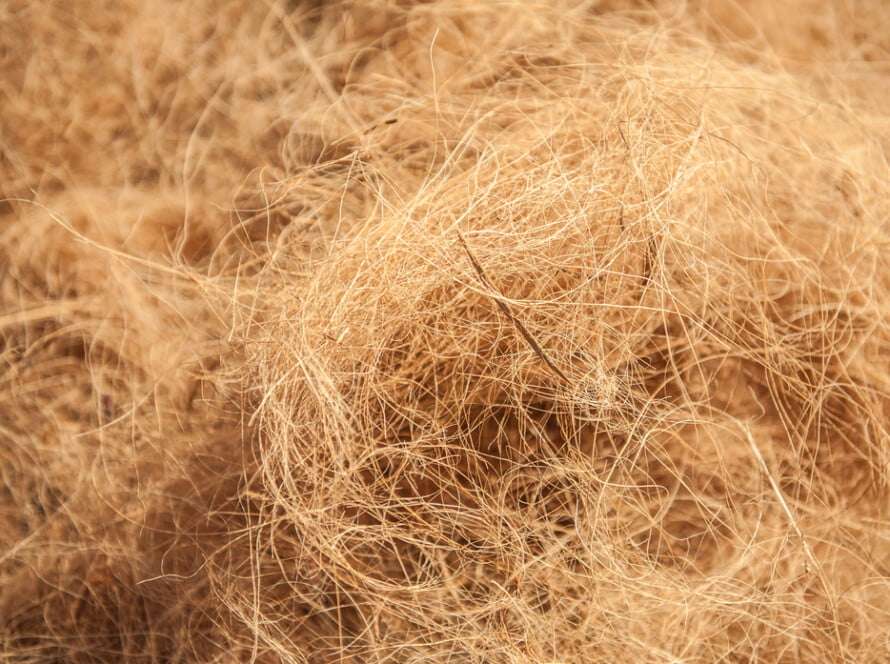 Close-up of coarse coco coir fibers, ideal for promoting air circulation in potting mixes.