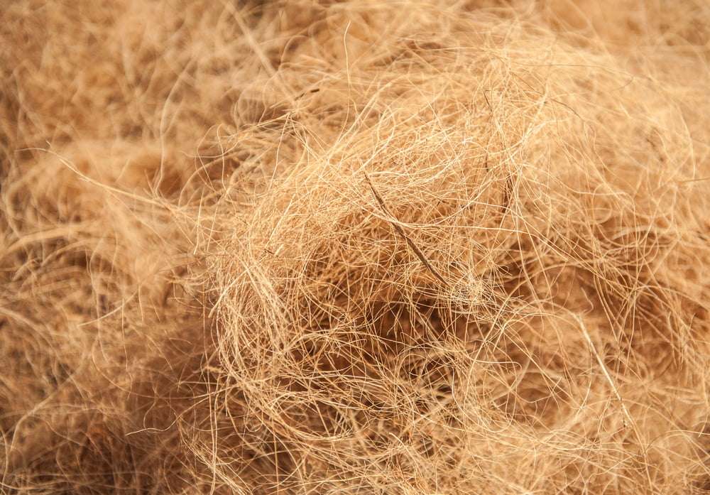 Close-up of coarse coco coir fibers, ideal for promoting air circulation in potting mixes.