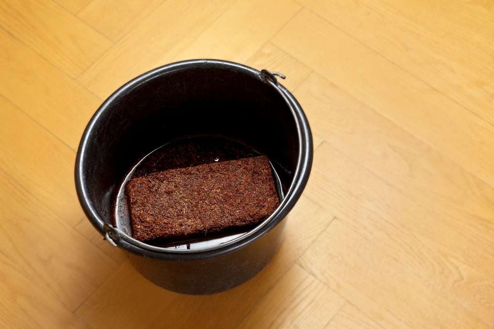 Coco coir soacking in bucket